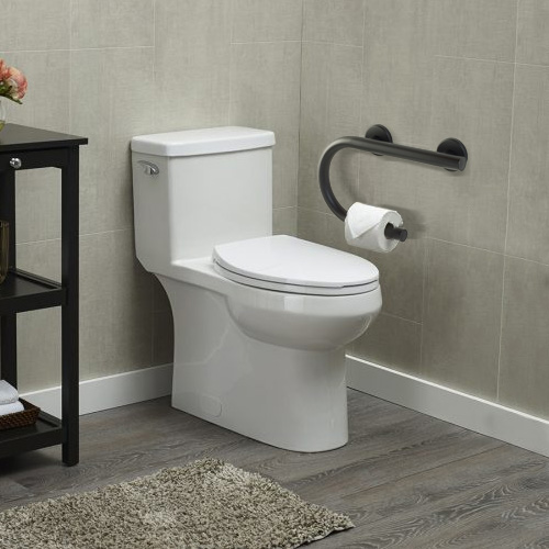 Designer Curved Grab Bar with Tissue Holder