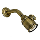 Moen Adjustable Showerhead - Antique Brass