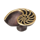 980R-PB/BZ - Nature - Shell Cabinet Knob - (Right Hand)