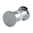 Glass Shower Door - Knobs