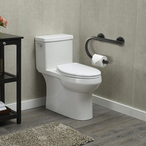 Designer Grab Bar w/ Toilet Paper Holder