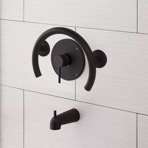 Tub/Shower Valve Ring Grab Bar